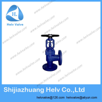 angle type globe valve